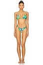 view 4 of 5 Caribbean Fantasy Triangle Bikini Top in Multicolor