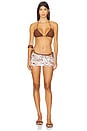 view 4 of 4 Triangle Bikini Top in Brown