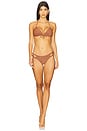 view 4 of 5 Side Cut Out Rings Moderate Bikini Bottom in Brown & Gold