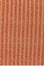 view 5 of 5 Side Cut Out Rings Moderate Bikini Bottom in Brown & Gold