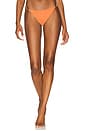view 1 of 4 Ring Brazilian Bikini Bottom in Terracotta