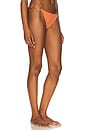 view 2 of 4 Ring Brazilian Bikini Bottom in Terracotta