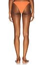 view 3 of 4 Ring Brazilian Bikini Bottom in Terracotta
