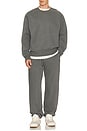 view 4 of 4 Steady State Superloft Crew Sweater in Onyx Grey