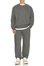 view 5 of 5 Steady State Superloft Jogger in Onyx Grey