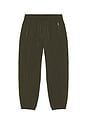 view 6 of 5 Crinkled Nylon Hybrid Track Pant in Deep Forest