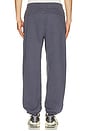 view 4 of 5 Steady State Fleece Jogger Compact in Dusty Diamond