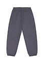view 6 of 5 Steady State Fleece Jogger Compact in Dusty Diamond