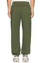view 4 of 5 Steady State Fleece Jogger Compact in Sassy Sage