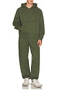 view 5 of 5 Steady State Fleece Jogger Compact in Sassy Sage