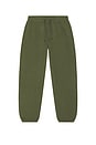 view 6 of 5 Steady State Fleece Jogger Compact in Sassy Sage