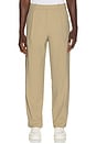 view 1 of 5 Daydrift Relaxed Pleated Trouser in Rumble Crumble