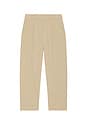 view 6 of 5 Daydrift Relaxed Pleated Trouser in Rumble Crumble