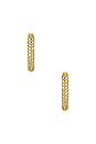 view 1 of 2 PAVE イヤリング in Gold