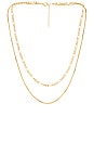 view 1 of 1 Cecilia Chain Necklace in Gold