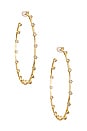 view 1 of 2 The Stardust Statement Hoops in Gold