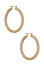 view 1 of 2 Pave Amalfi Hoops in Gold