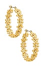 view 1 of 3 The Daisy Chain Hoops in Gold