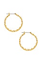 view 2 of 3 The Daisy Chain Hoops in Gold
