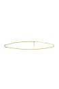 view 2 of 3 the Violante Belly Chain in Gold