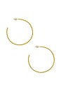 view 3 of 3 Pave Ball Chain Hoops in Gold