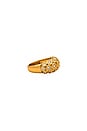 view 2 of 3 The Sienna Stone Ring in Gold