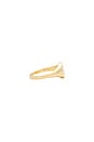 view 2 of 3 The Oval Signet Ring in Gold