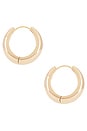 view 2 of 3 Corey Hoops in Gold