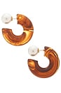 view 2 of 3 The Tortoise Noemi Hoop Earrings in Tortoise