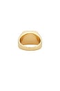 view 3 of 3 BAGUE SEYCHELLES in Gold