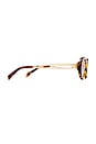view 3 of 3 The Avalon Sunglasses in Tort, Gold, & Khaki Brown Mono