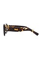 view 3 of 3 LUNETTES DE SOLEIL DIONNE in Crystal Tort & Brown Tint