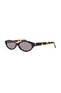 view 2 of 3 LUNETTES DE SOLEIL PETRA in Crystal Tort & Burgundy Tint