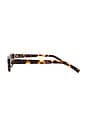 view 3 of 3 LUNETTES DE SOLEIL PETRA in Crystal Tort & Burgundy Tint