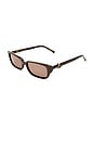 view 2 of 3 The Phoebe Sunglasses in Dark Chocolate & Chocolate Mono