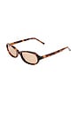 view 2 of 2 GAFAS DE SOL ELCIE in Tortoise & Light Tan Mono