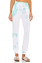 view 1 of 5 Sabina Pant in Mint Tie Dye