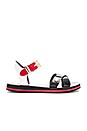 view 1 of 5 SANDALES in Black, Red & White
