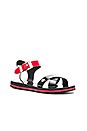 view 2 of 5 SANDALES in Black, Red & White
