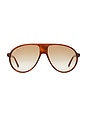 view 1 of 3 Bella Sunglasses in Tort & Honey