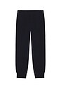 view 6 of 5 PANTALON in Navy