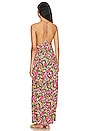 view 3 of 3 Hula Maxi Dress in Multicolor