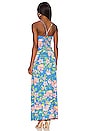 view 3 of 3 Zandra Maxi Dress in Star Flower