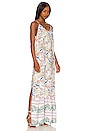 view 2 of 3 Debbie Maxi Dress in Chinoiserie