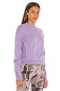 view 2 of 4 Sweatshirt in Possible Purple