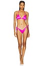 view 4 of 4 SUNSEEKER BIKINI ボトム in Pink