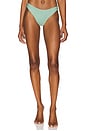 view 1 of 5 Sublimity Classic Bikini Bottom in Green