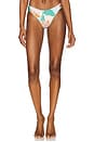 view 2 of 5 Sublimity Classic Bikini Bottom in Green