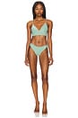 view 5 of 5 Sublimity Classic Bikini Bottom in Green