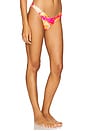 view 2 of 4 Splendid Bikini Bottom in Pink